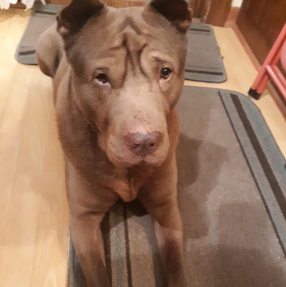 Late live show tonight @ Midnight CST - Picture 3 of 11